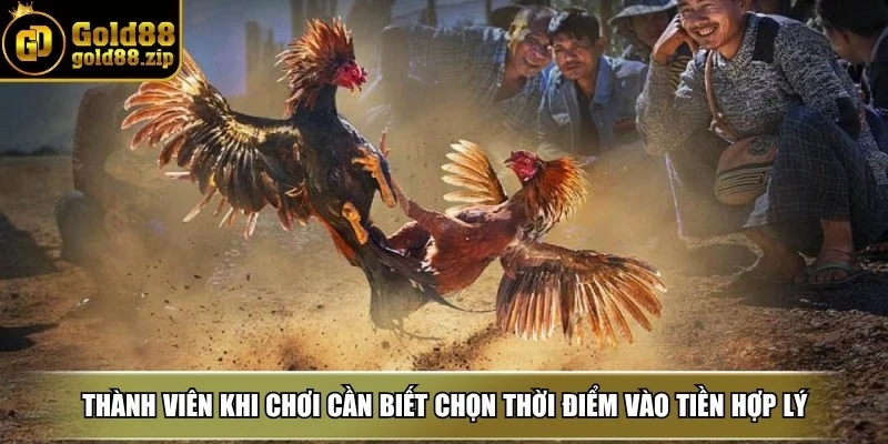Thành viên khi chơi cần biết chọn thời điểm vào tiền hợp lý
